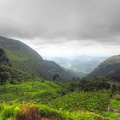 The tea fields at the Lipton plantation in Beregala