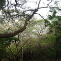 025-IMG 5183