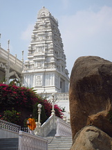 Man descending steps from Birla Mandir