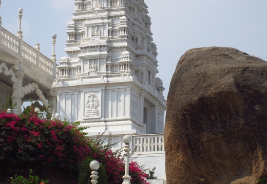 Man descending steps from Birla Mandir