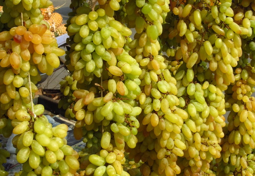 Grapes at fruit stall