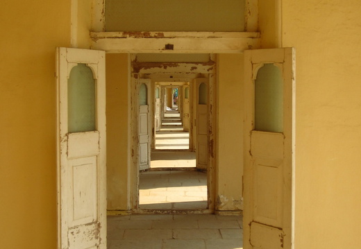 30-IMG 1464