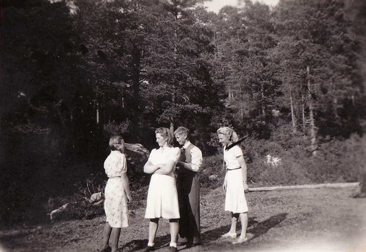 Leik på Danseflata