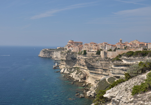 DSC 5648