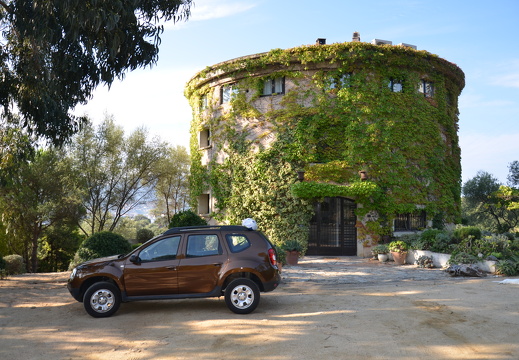 DSC 5577