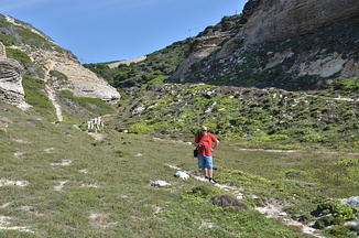 DSC 5755