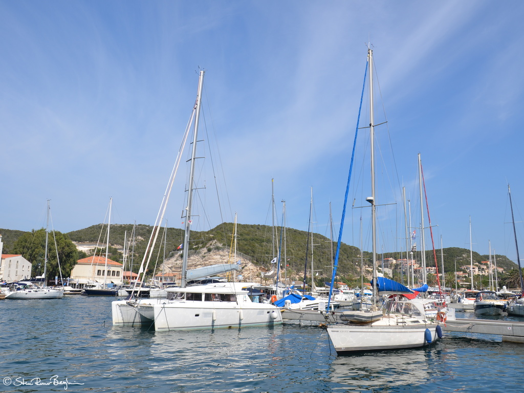 DSC 5732