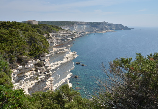DSC 5665