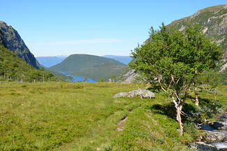 DSC 4954