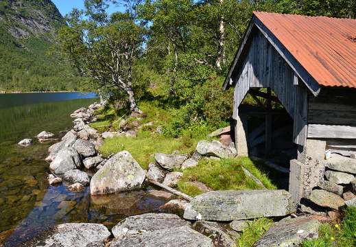 DSC 4929
