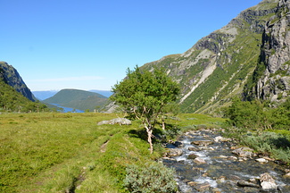DSC 4953