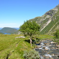 DSC 4953