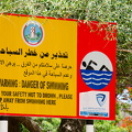 DSC 2423