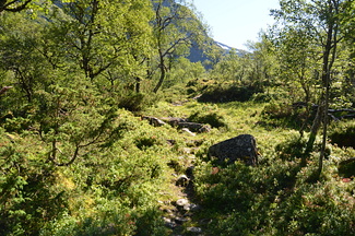 DSC 4946