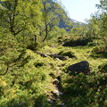 DSC 4946
