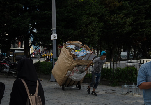 DSC 2206