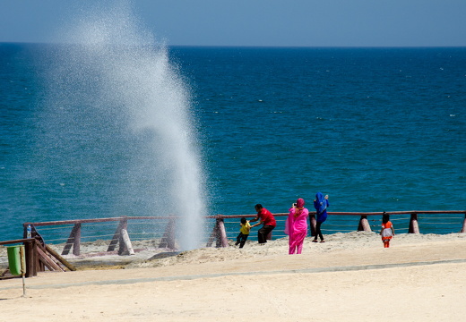 DSC 2530