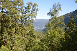 DSC 4913