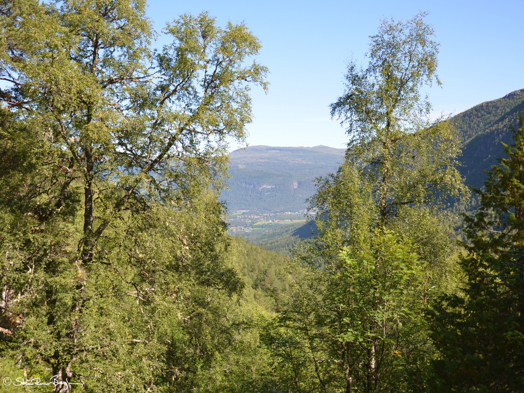 DSC 4913