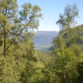 DSC 4913
