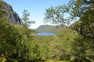 DSC 4943