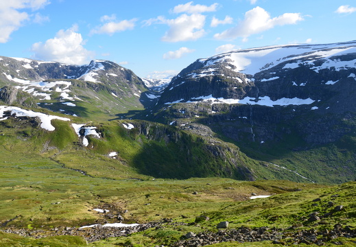 DSC 4984
