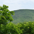 DSC 2621