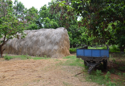DSC 2640