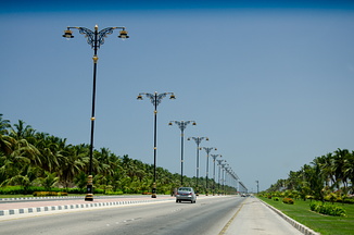 DSC 2465