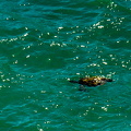 DSC 2536