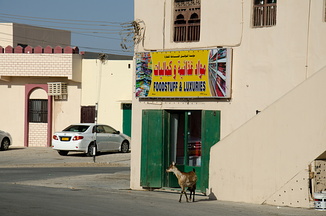 Foodstuff and luxuries - and goat