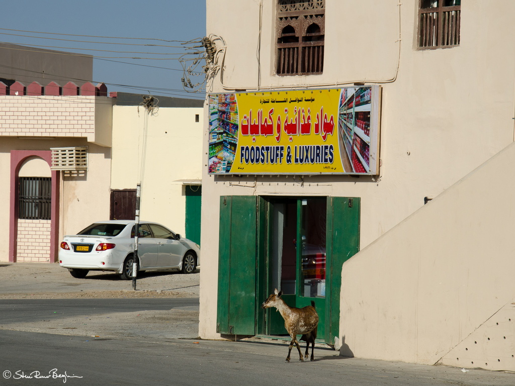 Foodstuff and luxuries - and goat