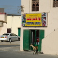 Foodstuff and luxuries - and goat