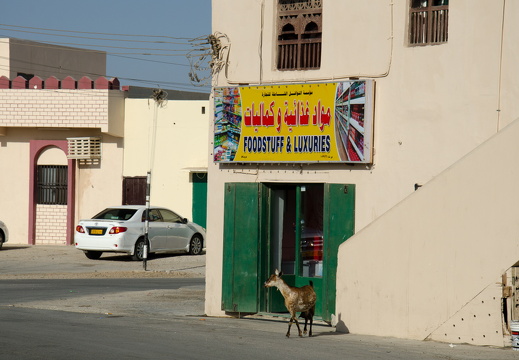 Foodstuff and luxuries - and goat