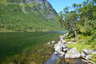 DSC 4915