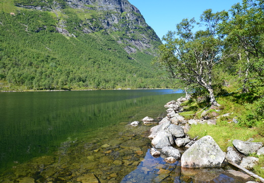DSC 4915