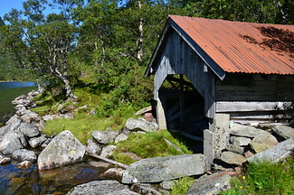 DSC 4914