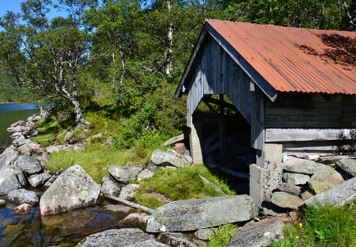 DSC 4914