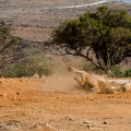 DSC 2637