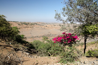 DSC 2610
