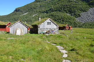 DSC 4941