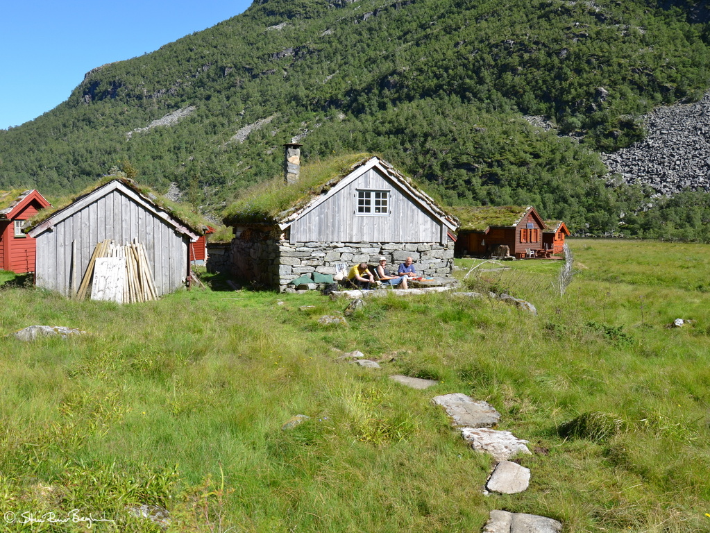 DSC 4941