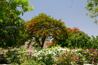 DSC 2436