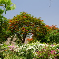 DSC 2436