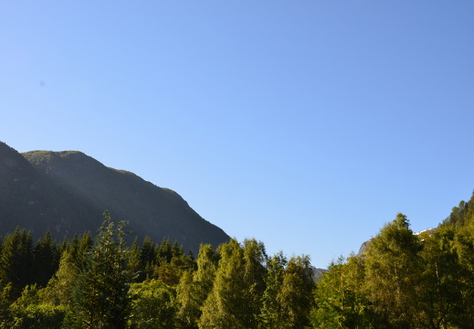 DSC 4894