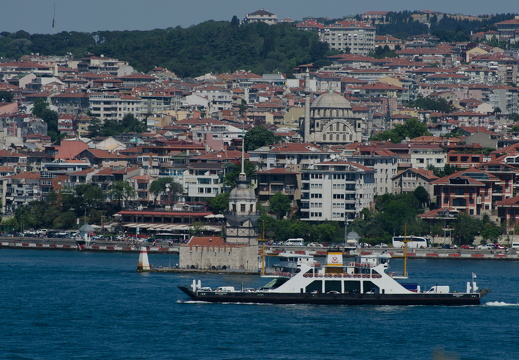DSC 2116