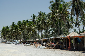 DSC 2485