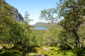 DSC 4944