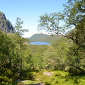DSC 4944