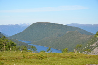 DSC 4952